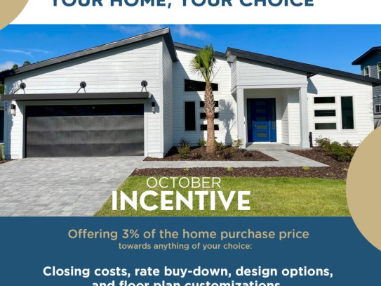 Discover the Best Financing Options with Rushmore Home Loans